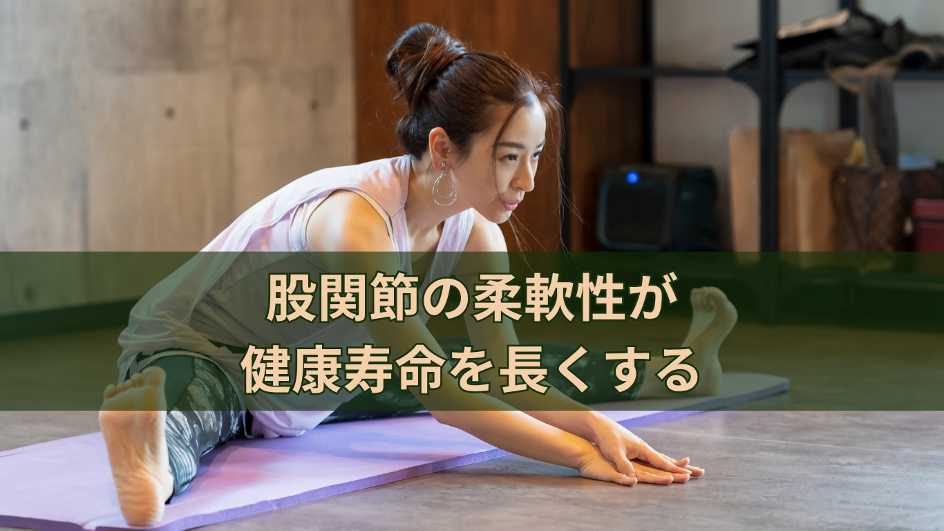 股関節の柔軟性