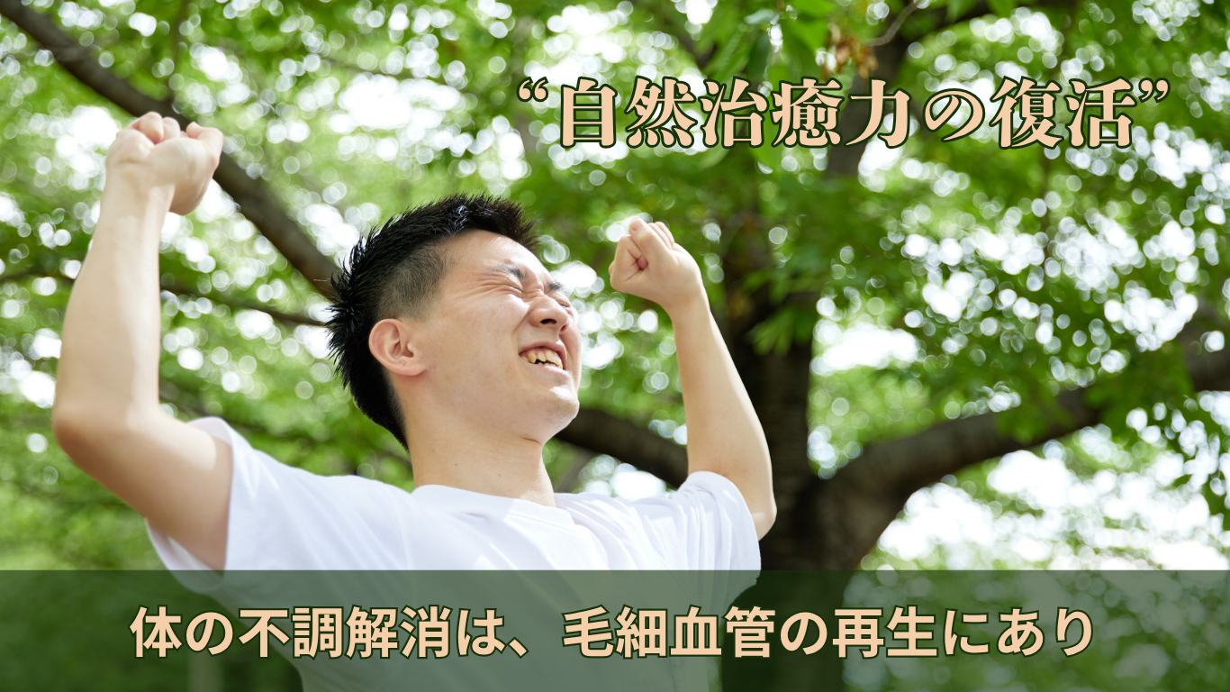 自然治癒力の復活～体の不調解消は、毛細血管の再生にあり